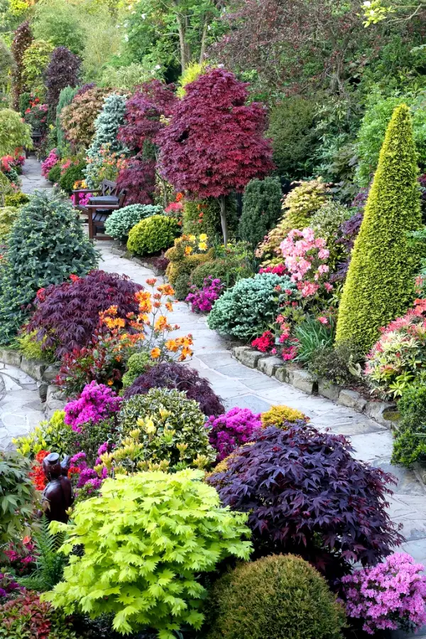 garden color schemes