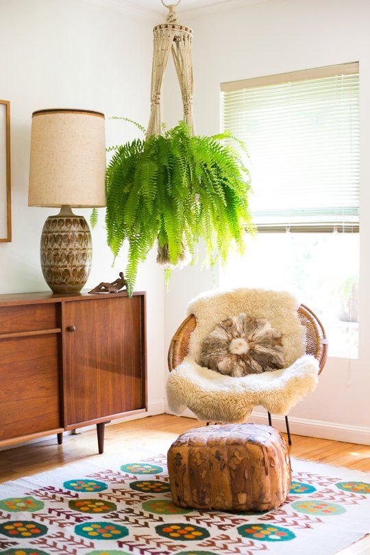 macrame plant holder in a mid-century style living room