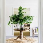 living-ideas-for-hallway-round-table-green-plant-bank-dekoideen