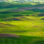 palouse-country-washington-GettyImages-155674261