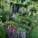 how-to-grow-cut-flower-garden-directions