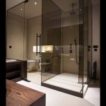 tinted glass-shower