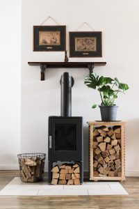 Wood furnace and logs in room with pot plant besides the furnace