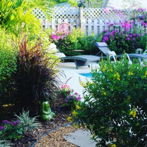 Backyard garden with pool and Buddha statue