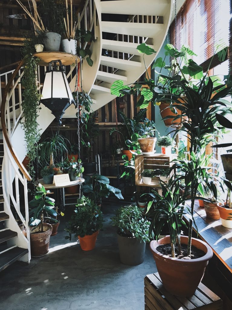 House plants and staircase