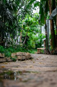 Garden path