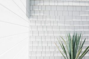 Tile wall with plant