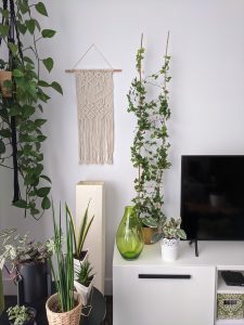 Indoor plants i the living room besides the TV that's on TV stand and designed details