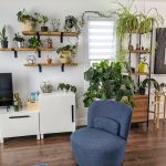 How to make indoor jungle with plants