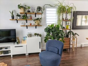 How to make indoor jungle with potted plants in the living room with chair, shelfs, and stands
