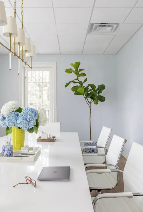 Office with desk, chairs and plants