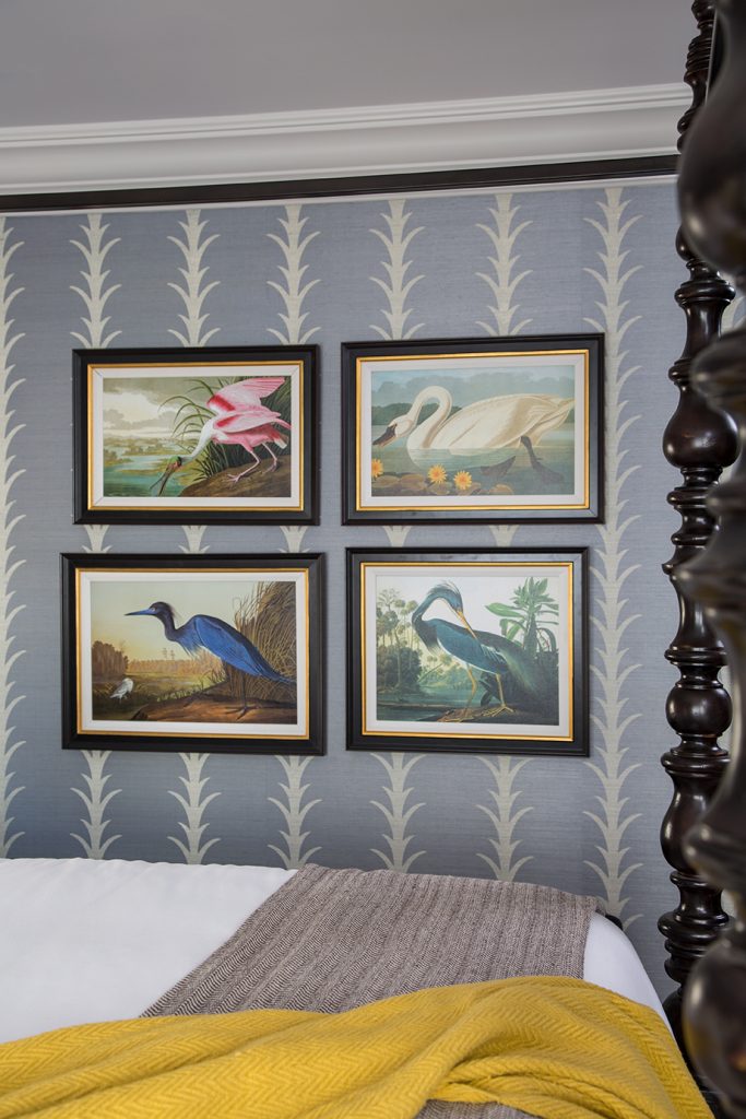 Pictures of birds in bedroom