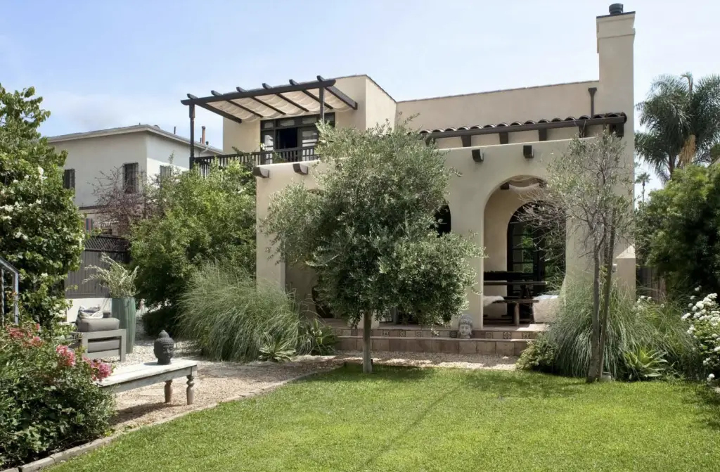 Backyard with lawn and olive tree