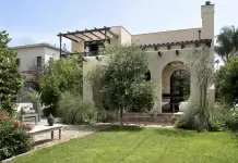 Backyard with lawn and olive tree