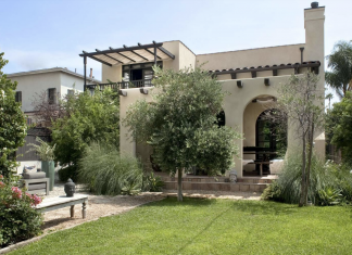 Backyard with lawn and olive tree