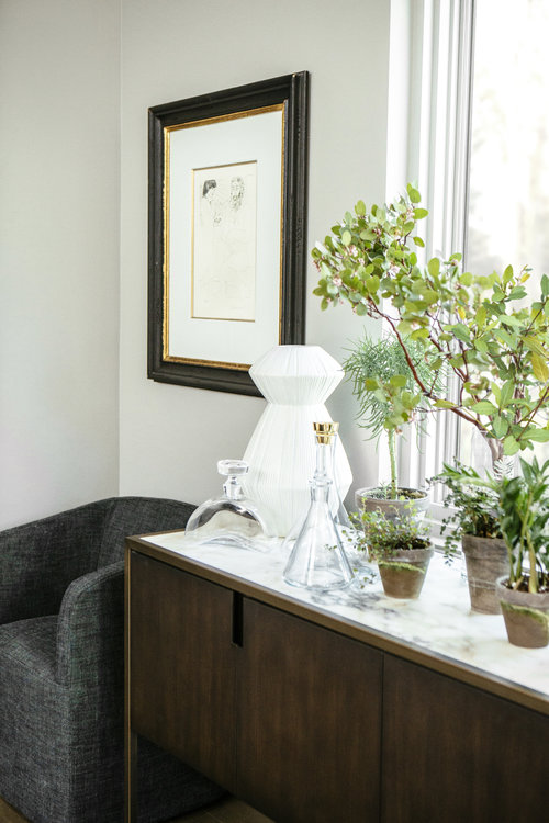 Corner of the living room with cabinet, plants and armchair