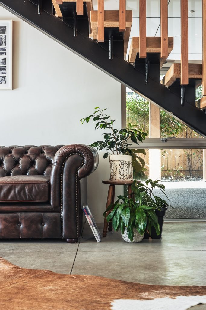 Living room with couch, plants, cow rug and concrete wall