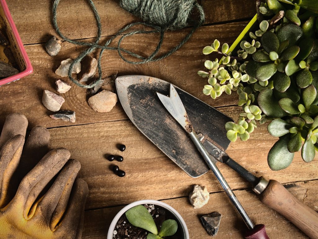 Gardening tools on table with seeds, gardening gloves and plants