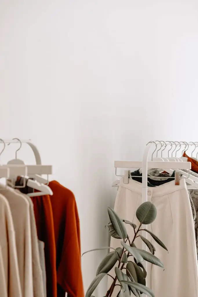 Garments on hanging on a rolling clothing rack with a plant in the middle