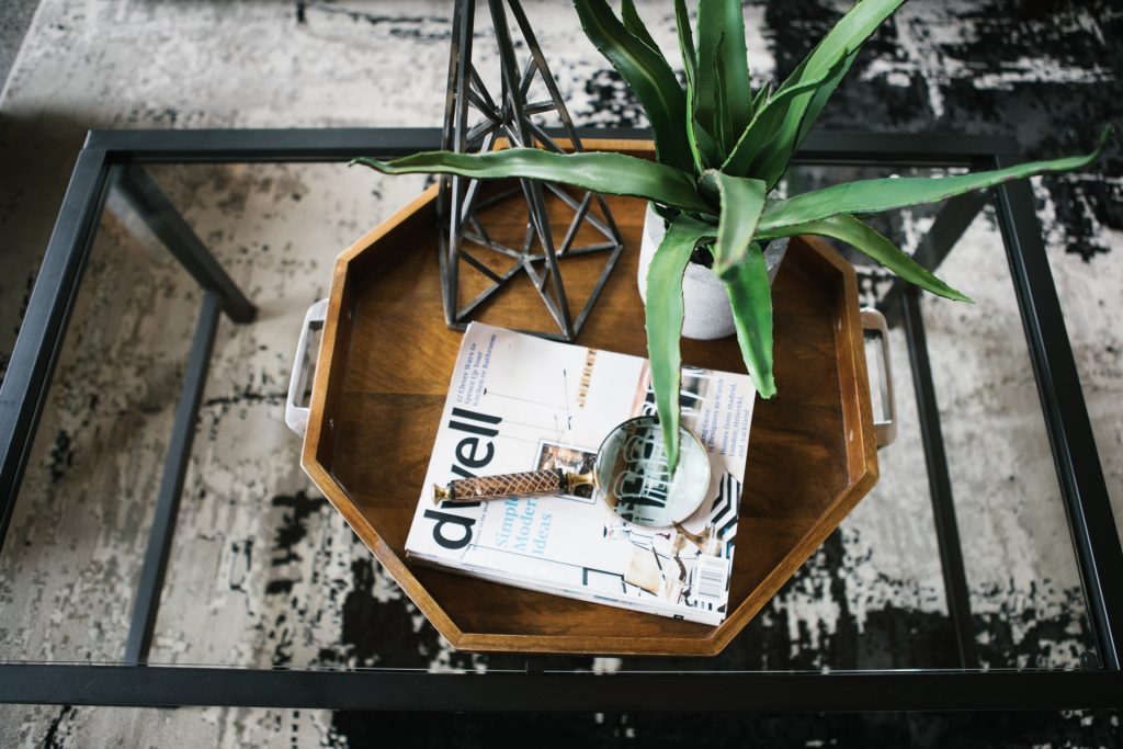 Magazine and a plant on a coffee table