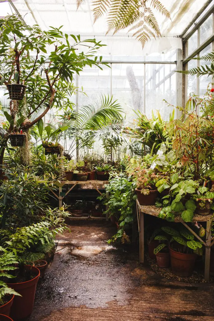 Using Your Greenhouse in Autumn - Decorology