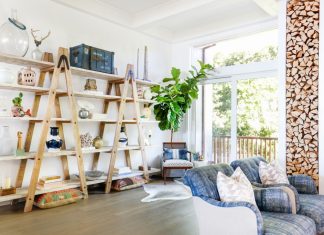 Living room with shelfs, plant and armchairs