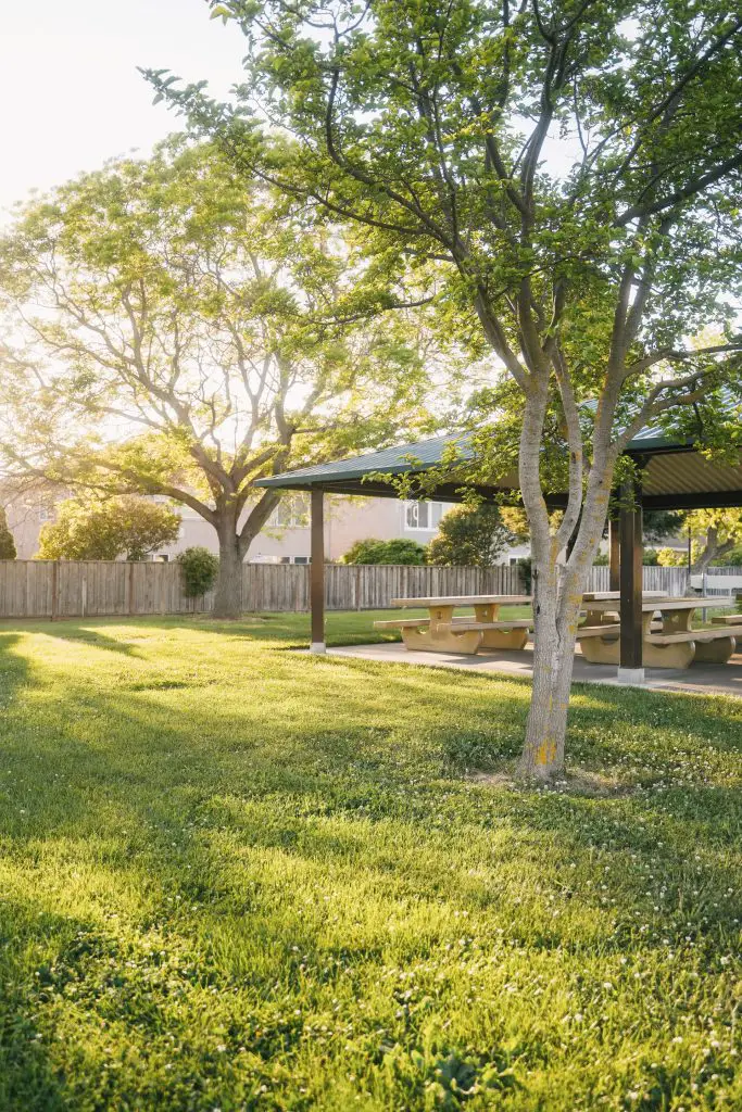 House with porch and lawn in the yard