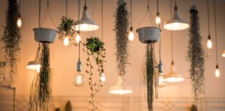 Led lights and plants