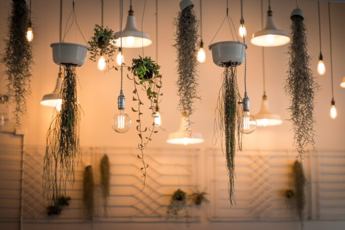 Led lights and plants