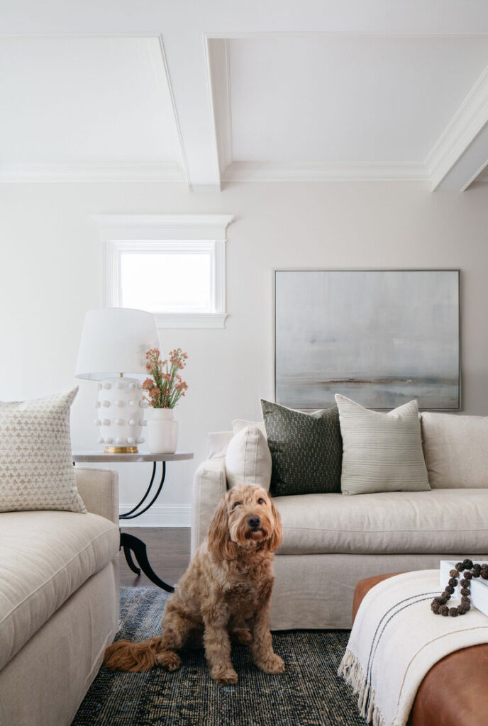 Living room with dog sitting beside one of the sofas