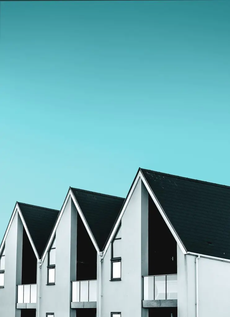 Houses with black roofs