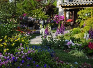 Garden with colorful flowers