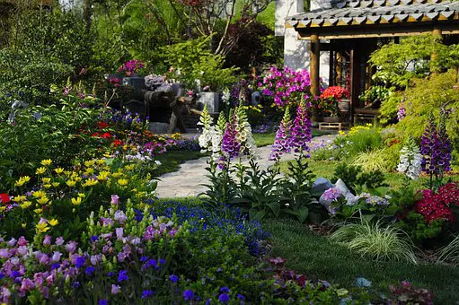 Garden with colorful flowers
