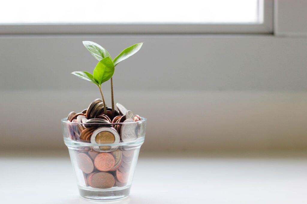 Glass cup filled with coins and a seedling