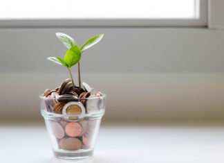 Glass cup filled with coins and a seedling