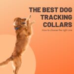 The best tog tracking collars