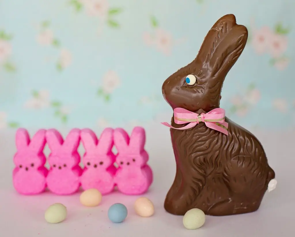 Chocolate bunny 
