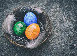 Easter eggs in a nest decoration on a dark surface