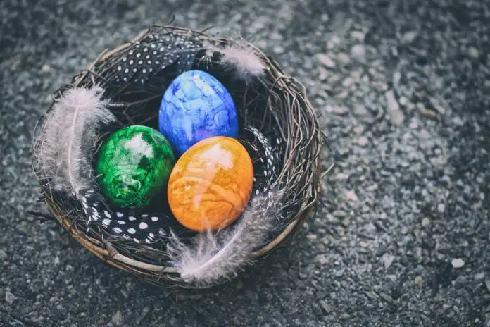 Easter eggs in a nest decoration on a dark surface