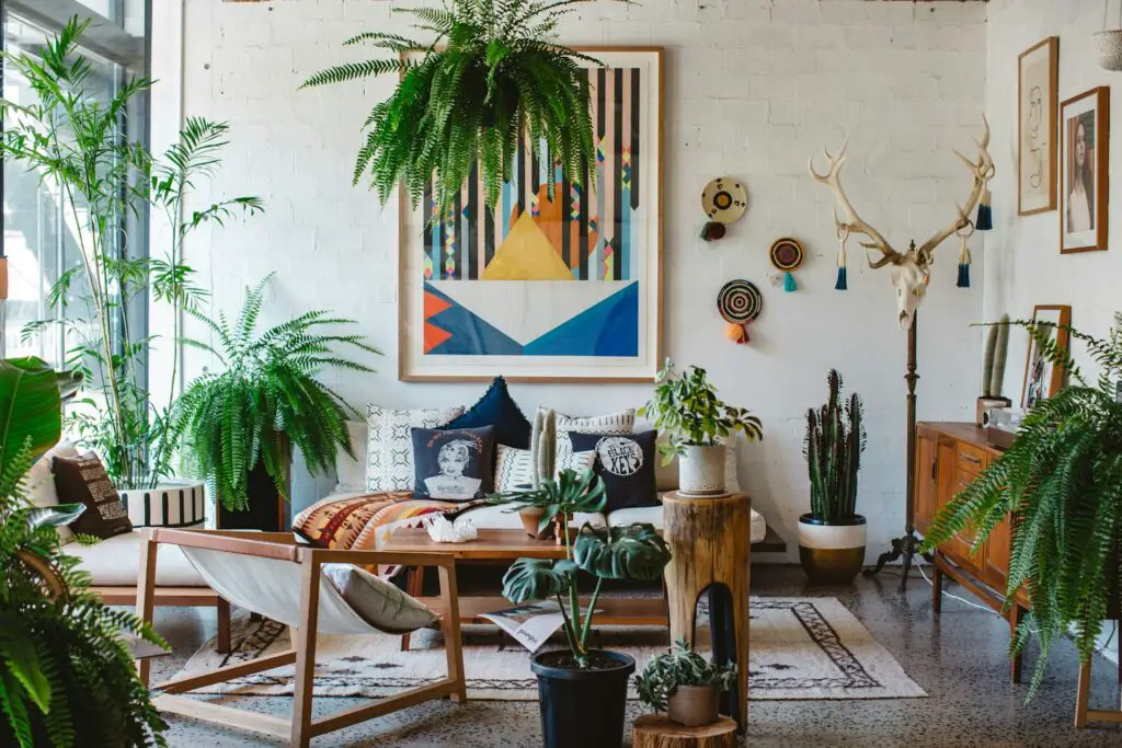Decorating your home with plants and flowers