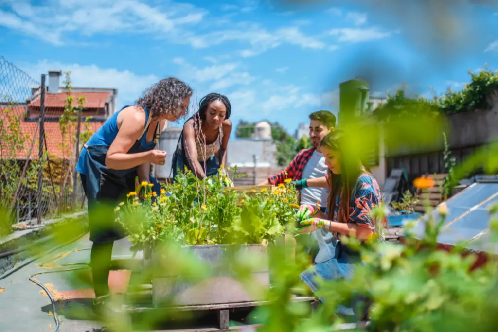 Community members working in community garden